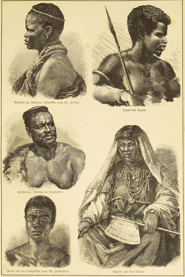 Illustration Mädchen der Bakarna, Südafrika, Typus des Negers, Ketschwane, Exkönig der Zulukaffern, Mann von der Loangoküste, Negerin aus dem Sudan