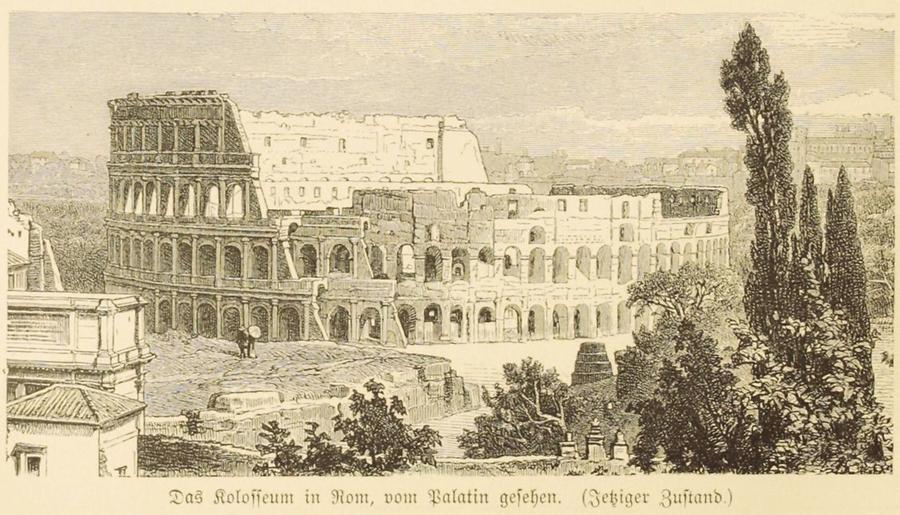 Illustration Das Kolosseum in Rom vom Palatin gesehen