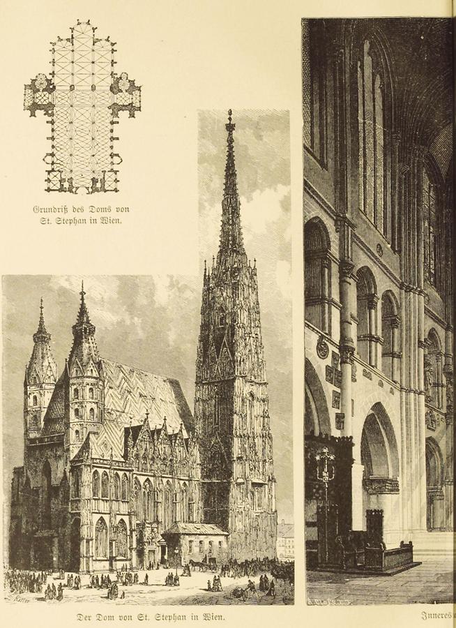 Illustration Dom von St Stephan in Wien