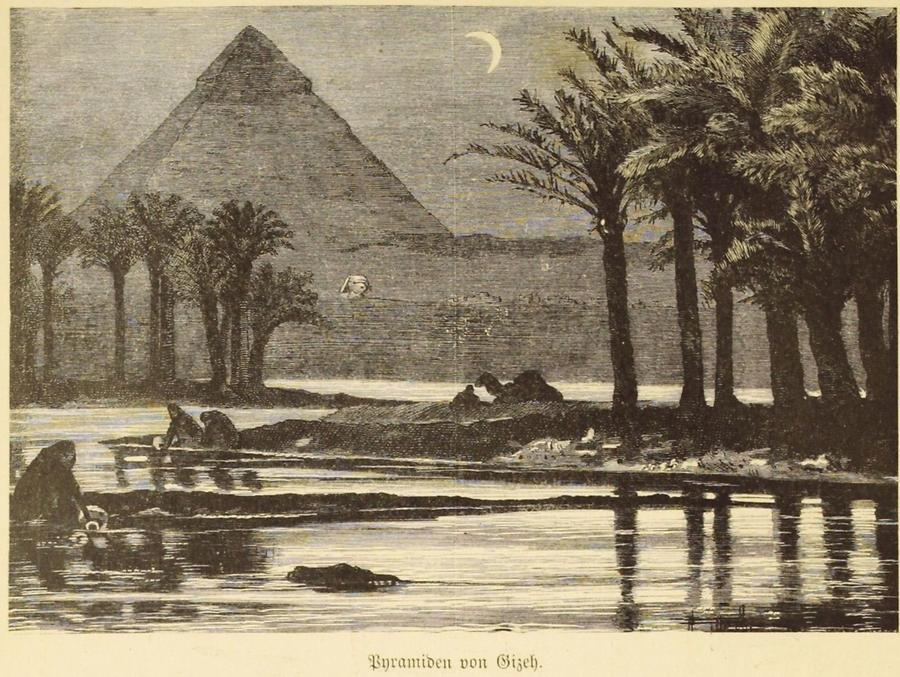 Illustration Pyramiden von Gizeh mit Palmen und Mond