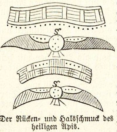 Illustration Rücken- und Halsschmuck des heiligen Apis