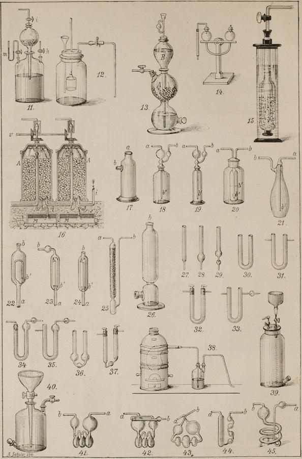 Illustration Gase (Tafel II)