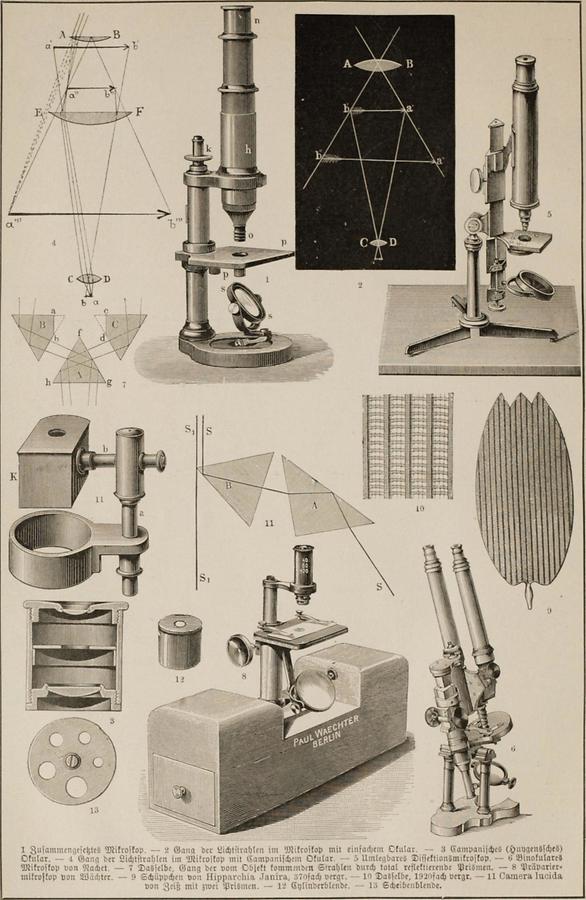 Illustration Mikroskop
