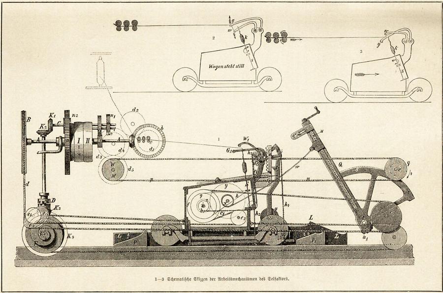 Illustration Spinnen (Tafel I)