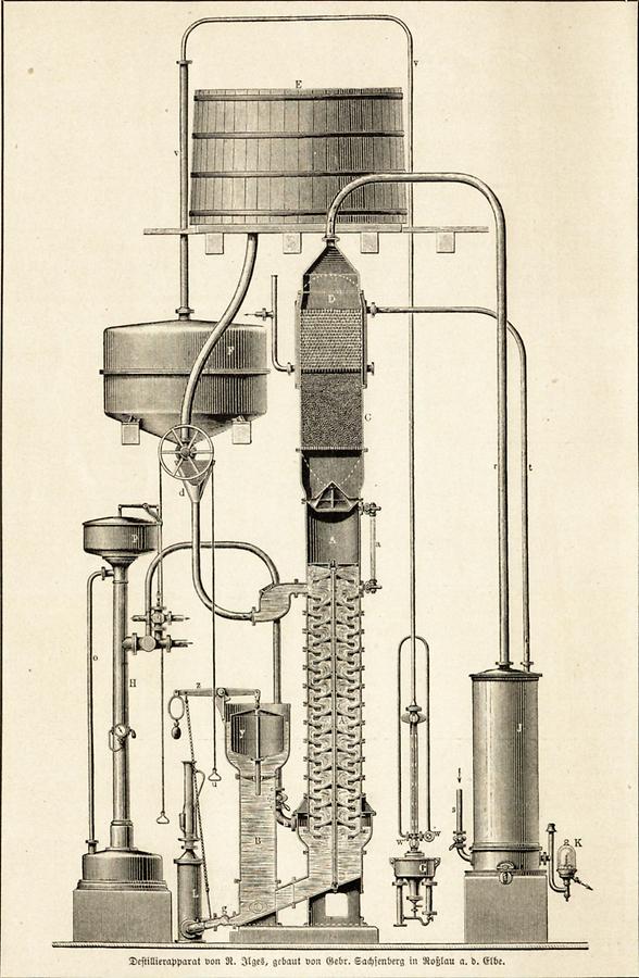 Illustration Spiritus (Tafel II)