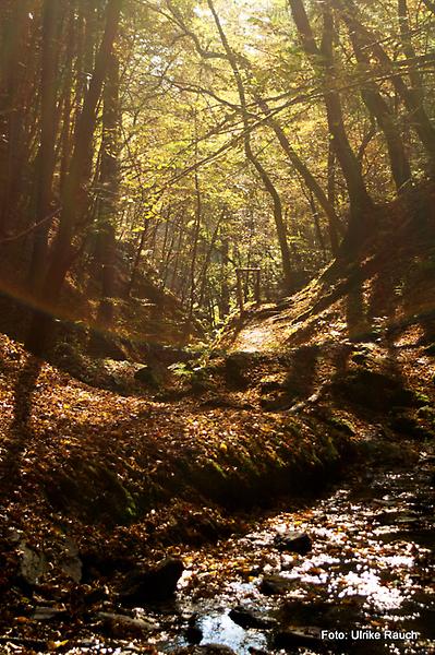 Rettenbachklamm Mariatrost