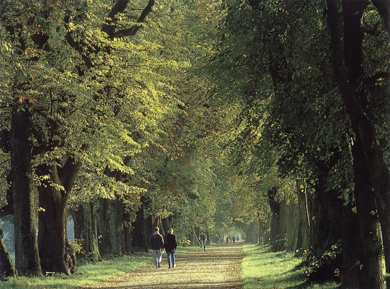 Salzburg, Allee Hellbrunn