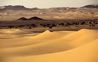 Algerien Dünenlandschaft
