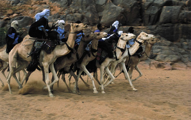 Bild 'RedakII_Seite15_Niger_Kamelrennen'