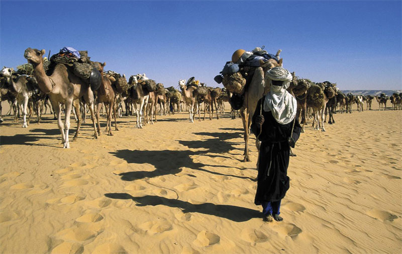 Bild 'RedakII_Niger_Salzkarawane'