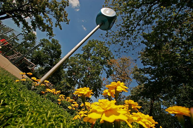 Bildgeschichten Stadtpark