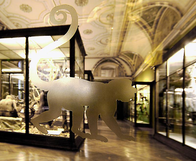 Naturhistorisches Museum