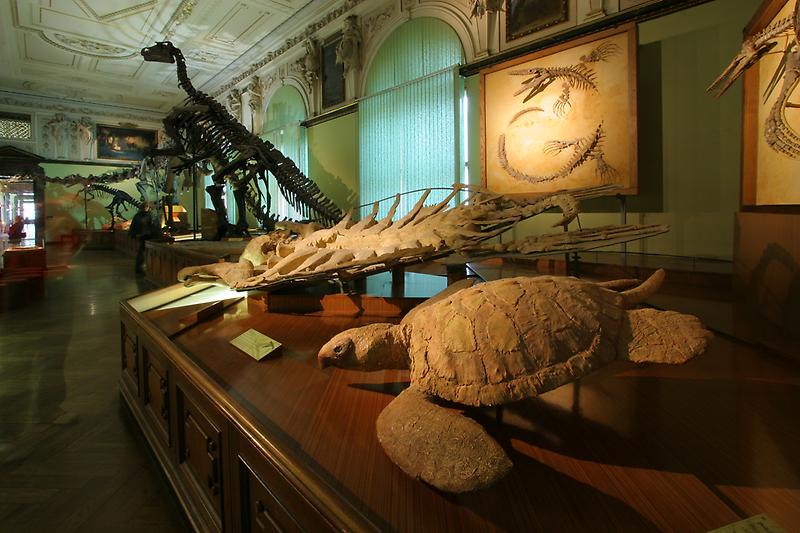 Naturhistorisches Museum