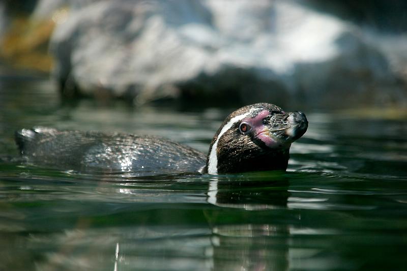 ZOO Schönbrunn