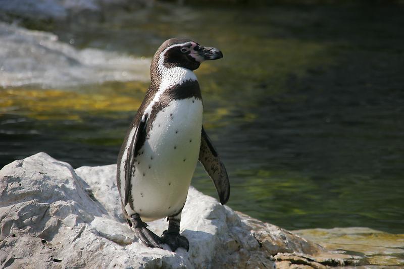 ZOO Schönbrunn