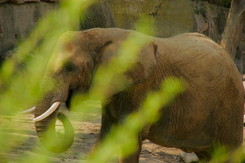 ZOO Schönbrunn