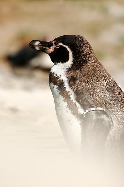 ZOO Schönbrunn