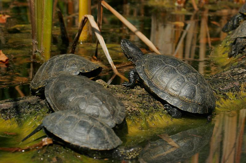 ZOO Schönbrunn