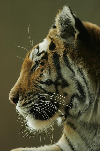 ZOO Schönbrunn