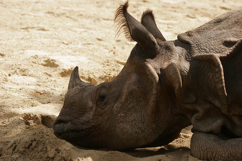 ZOO Schönbrunn