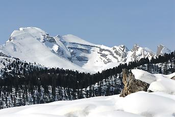 Blick zu Fanes-Bergen im Schnee, 2014