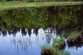 Tristacher See, Lienz