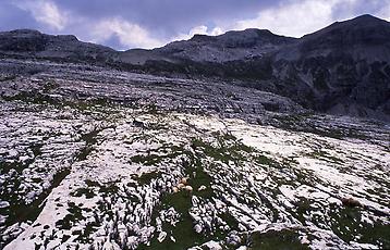 Schafe im Labyrinth, Dolomiten, 1989