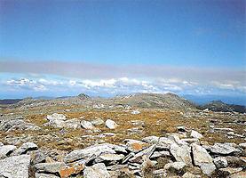 Der Mount Kosciusko, © Archiv Senft