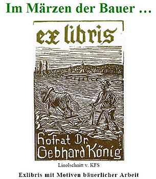 Zusammenstellung von Hofrat Stock, Februar 2016, Siehe Web-Book