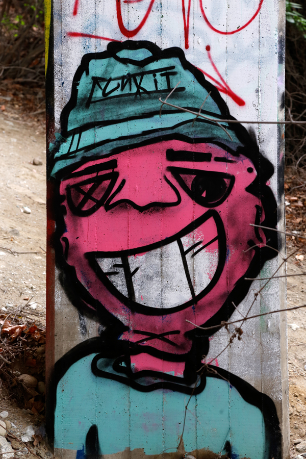 Graffito 39