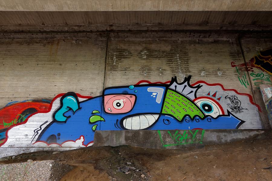 Graffito 49