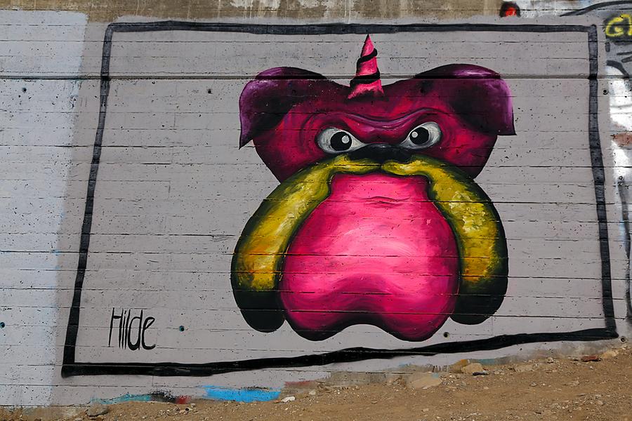 Graffito 50