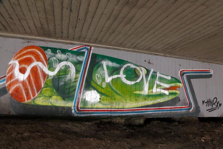 Graffito 54