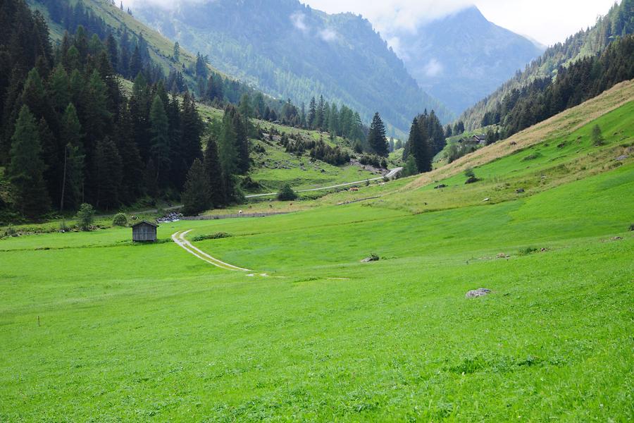 Wiese bei der Sedugg-Alm