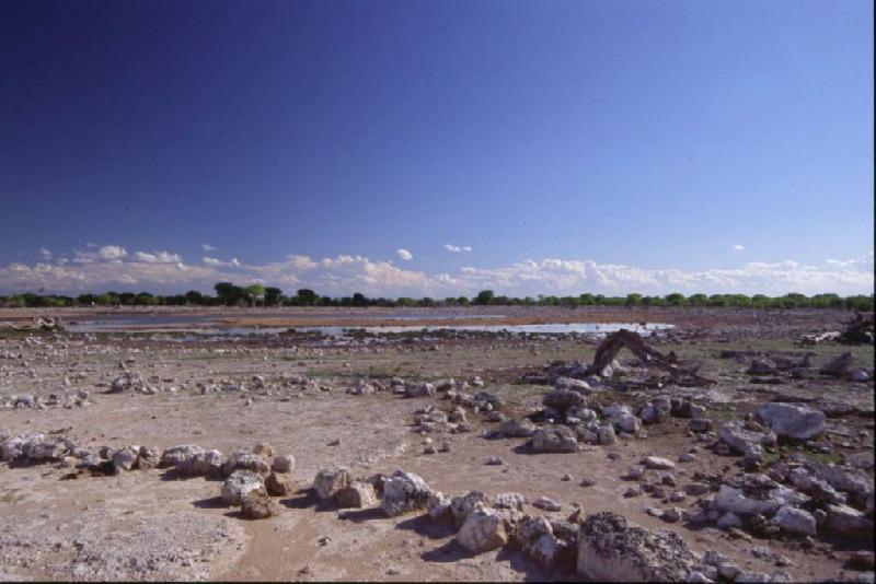 Bild 'ktrummer_namibia2003_082'