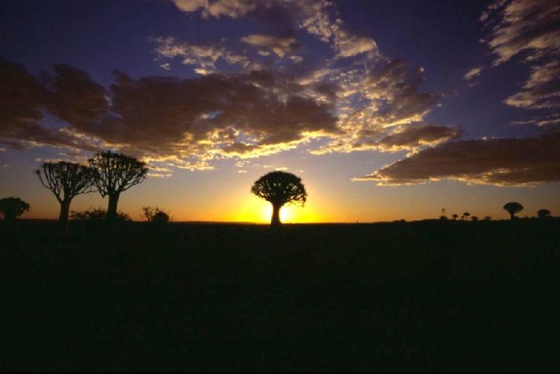 Bild 'ktrummer_namibia2003_350'