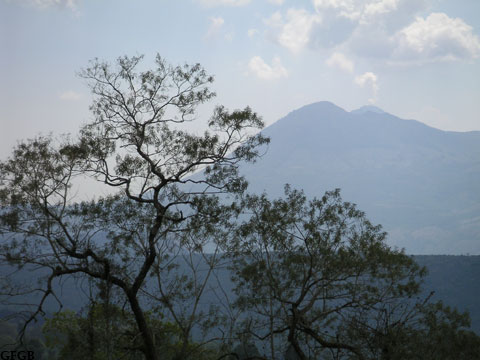 Bild 'vgarcia_pais-de-volcanes'
