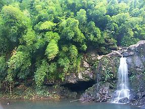 Wasserfall mit kleinem Wasserbecken