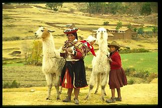 Cuzco Indios