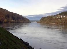 Donauenge bei Wilhering - Ottensheim, Kürnberger Wald, Blick gegen Westen