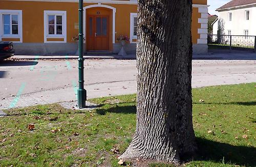 Kastell Wallsee Wallsee Fundorte Politik und Geschichte im