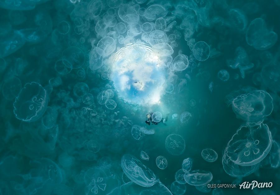 Jellyfish Bay. Raja Ampat, Indonesia, © AirPano