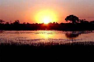 Sunset, Okavango Delta