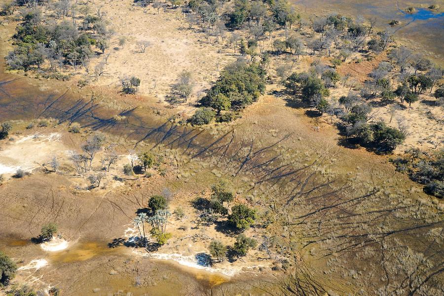 Flight over Okavango