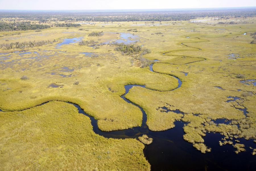 Flight over Okavango