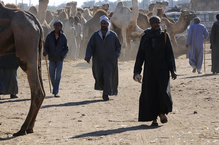 Birqash - Camel Market