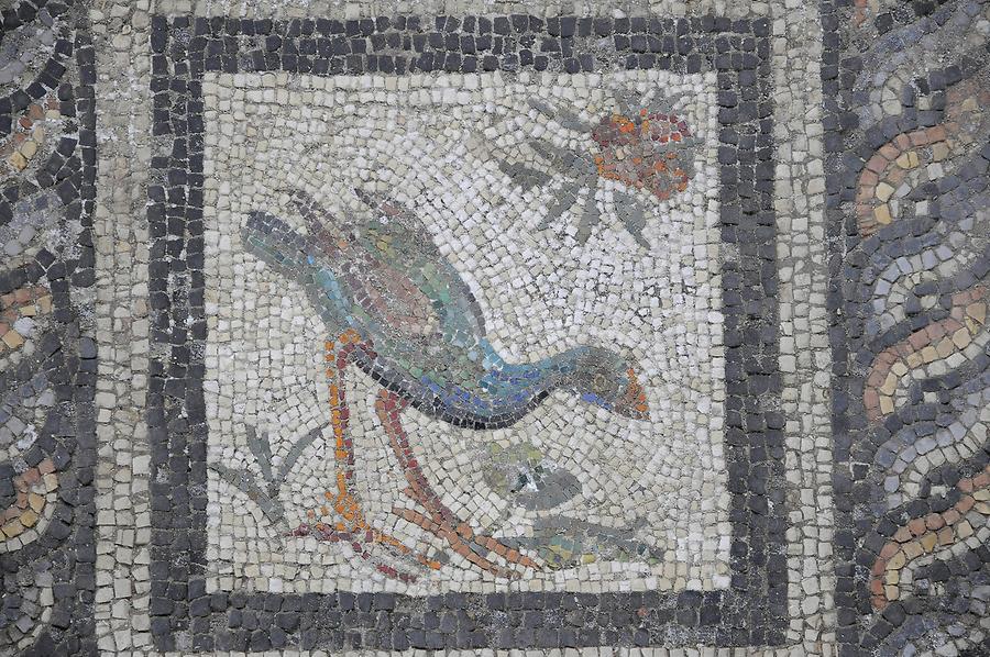 Roman Remains - Floor Mosaik