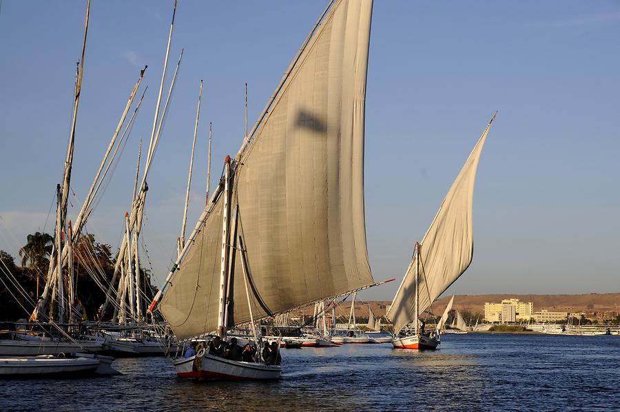 Feluccas near Aswan