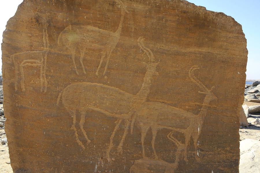 Kiosk of Qertassi - Engraved Relief