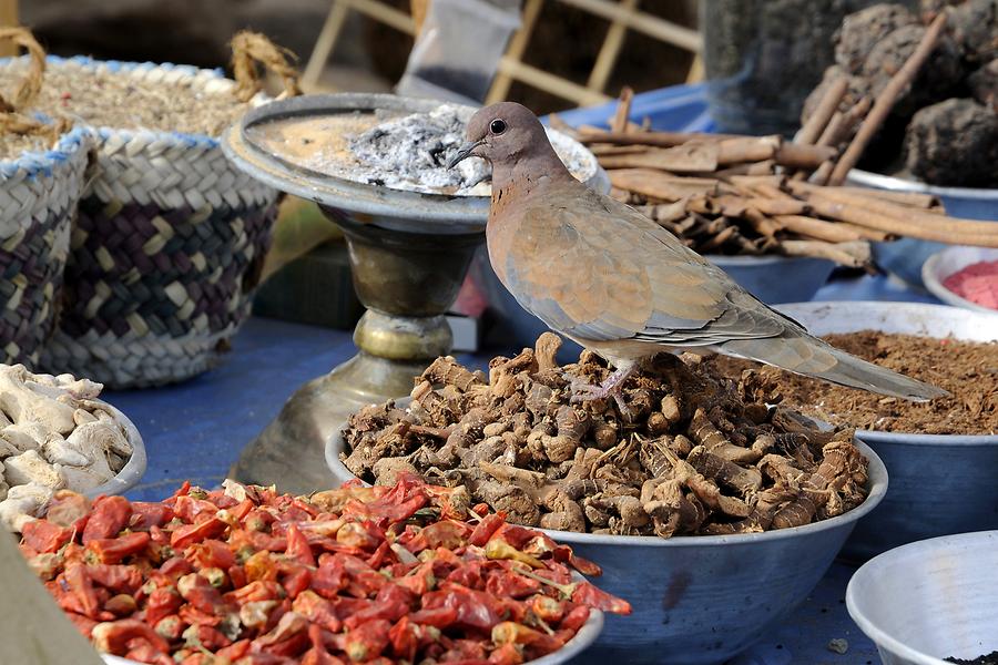 Nubian Village - Spices and Herbs